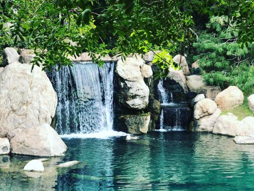 A serene waterfall cascades over rocks into a clear, tranquil pool surrounded by lush greenery.