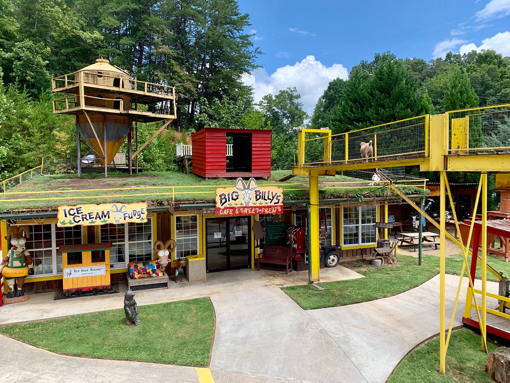 Discover Goats On The Roof: Georgia's Quirkiest Roadside Attraction