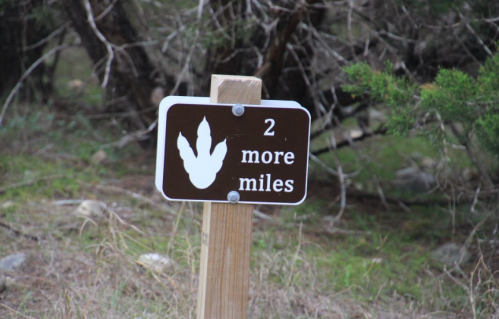 Sign indicating "2 more miles" with a dinosaur footprint graphic, set in a natural outdoor environment.