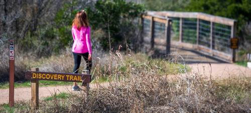 A woman in a pink jacket walks along the Discovery Trail, with a wooden bridge in the background and tall grass nearby.