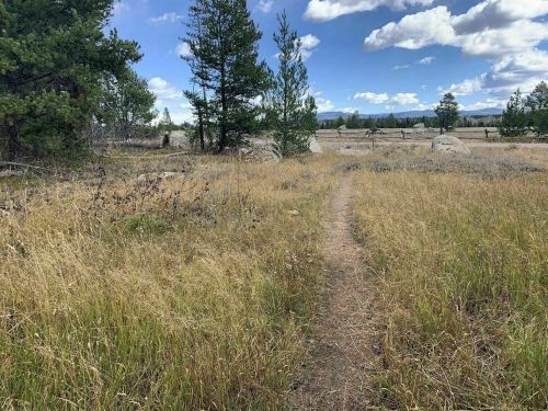 A narrow dirt path winds through tall grass and scattered trees under a blue sky with fluffy clouds.