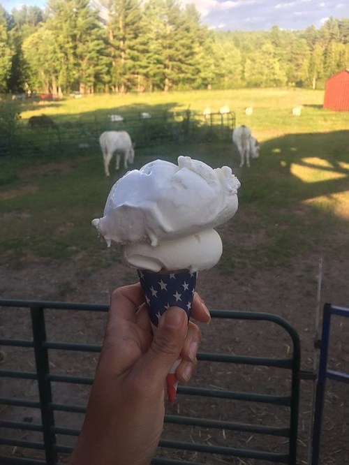 A hand holds an ice cream cone with white ice cream, set against a farm background with cows and a red barn.