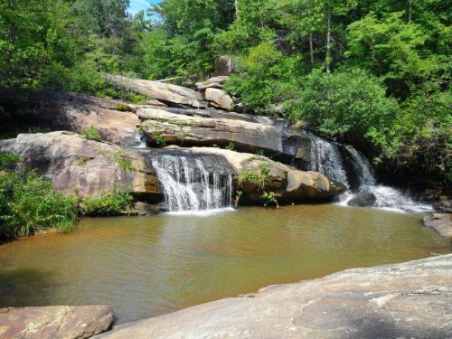 A serene waterfall cascades over rocks into a calm pool, surrounded by lush greenery and trees.