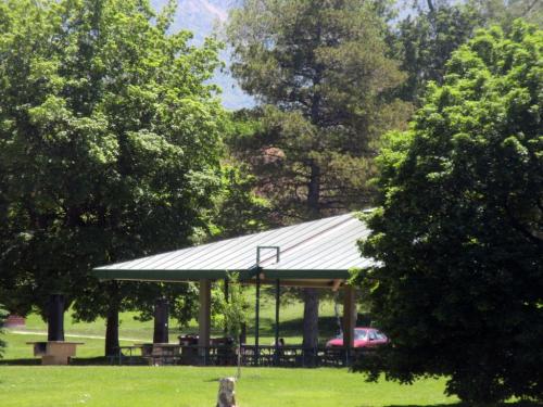 A shaded picnic area with a metal roof surrounded by green trees in a park. A basketball hoop is visible.