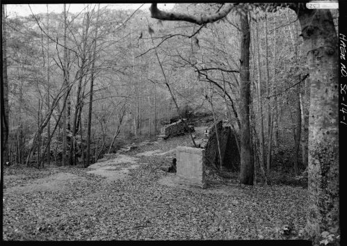 A black and white photo of a wooded area with bare trees and a stone structure partially hidden by fallen leaves.