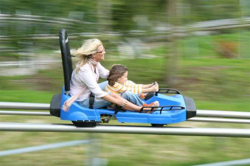 A woman and child enjoy a thrilling ride on a blue go-kart, speeding along a track in a lush outdoor setting.