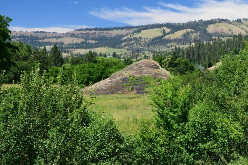 Lush green landscape with rolling hills and a blue sky, featuring a small mound covered in vegetation.
