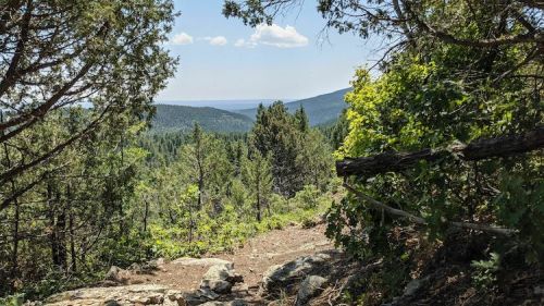 A scenic view of a forested trail leading to distant mountains under a clear blue sky.