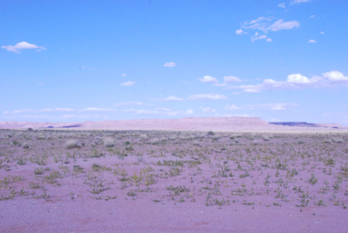 A vast desert landscape with purple soil, sparse vegetation, and a clear blue sky dotted with clouds.
