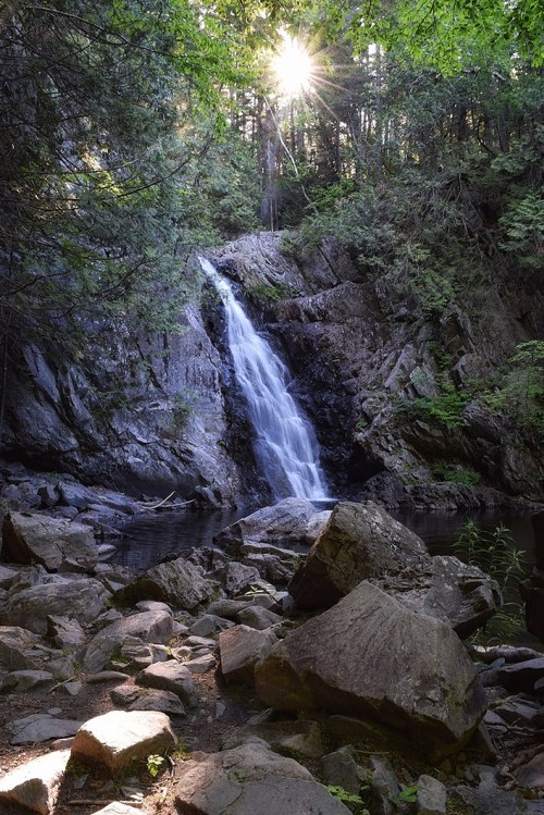 A serene waterfall cascades over rocks, surrounded by lush greenery and sunlight filtering through the trees.