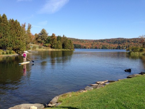 A person paddleboarding on a calm lake surrounded by trees with autumn foliage under a clear blue sky.
