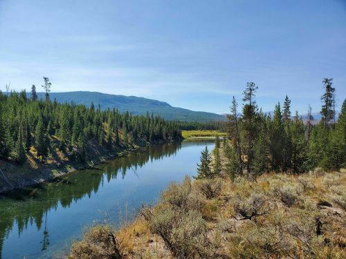 A serene river flows through a lush green landscape, surrounded by trees and mountains under a clear blue sky.