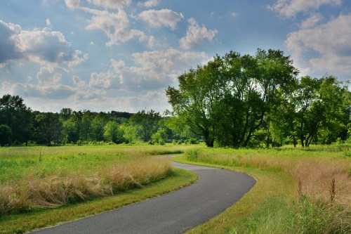 A winding path through a lush green field under a partly cloudy sky, surrounded by trees.