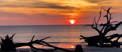 A serene beach at sunset, with vibrant orange and purple skies and driftwood silhouettes in the foreground.