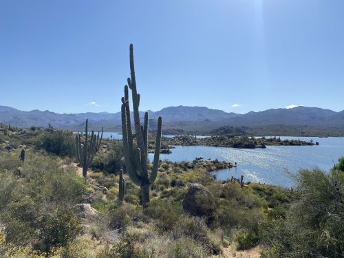 A scenic view of a lake surrounded by mountains and tall cacti under a clear blue sky.