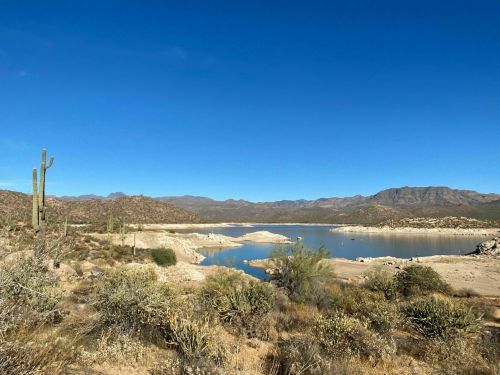 A serene desert landscape featuring cacti, a calm lake, and distant mountains under a clear blue sky.