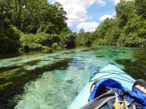 A kayak on clear water surrounded by lush greenery and trees under a bright blue sky.