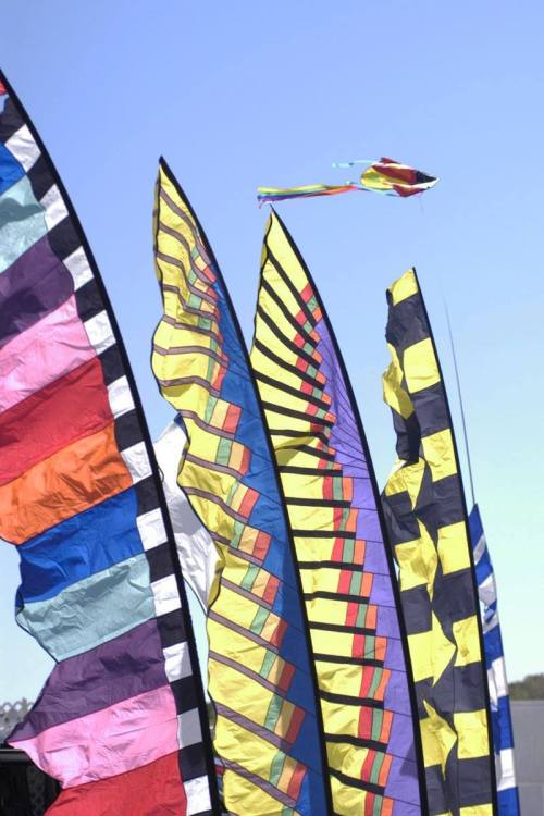 Colorful kites and banners fluttering against a clear blue sky.