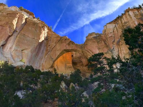 A stunning rock formation with an arch, surrounded by trees and a bright blue sky with wispy clouds.