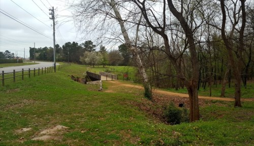 A grassy area with a small bridge over a creek, surrounded by trees and power lines in the background.