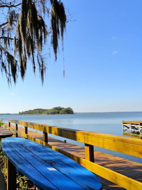 A serene waterfront view with a blue table, wooden pier, and trees draped in Spanish moss under a clear blue sky.