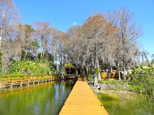 A wooden walkway leads to a cabin surrounded by trees and water, with Spanish moss hanging from the branches.