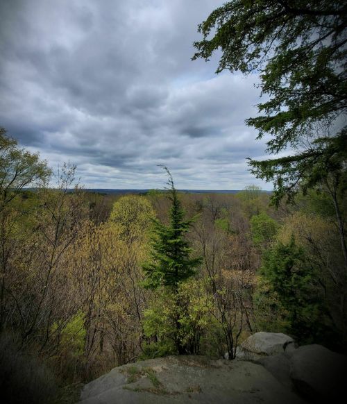 A scenic view of a forest with green and yellow trees under a cloudy sky, seen from a rocky outcrop.