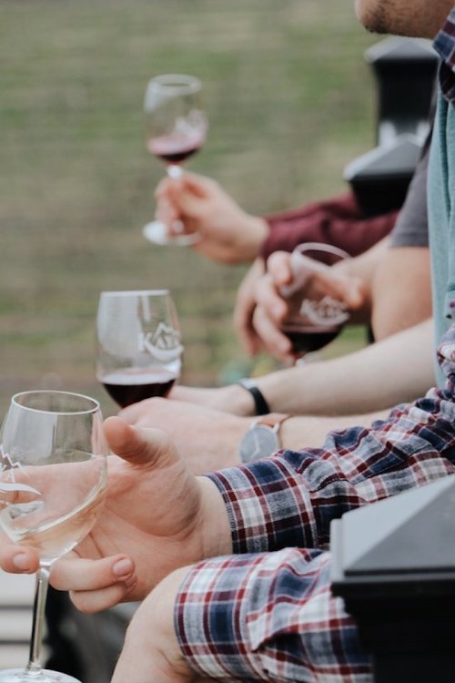 A group of people holding wine glasses, enjoying a vineyard view on a sunny day.