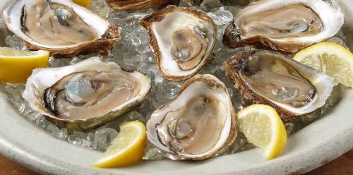 A platter of fresh oysters on ice, garnished with lemon wedges.