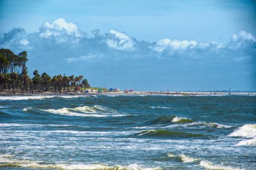 A scenic view of a beach with gentle waves, palm trees, and colorful umbrellas under a blue sky with fluffy clouds.
