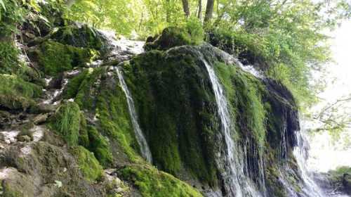 A lush, green moss-covered rock with water cascading down in a serene forest setting.