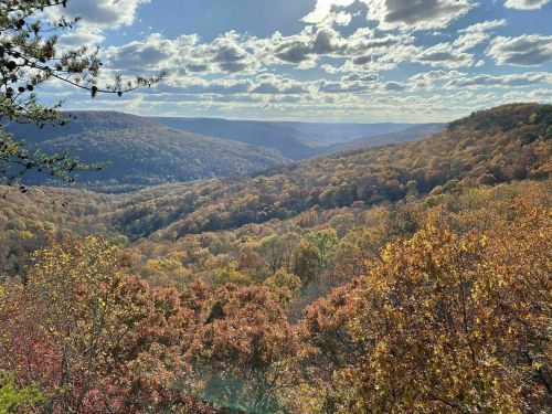 A scenic view of a valley filled with autumn foliage under a partly cloudy sky.