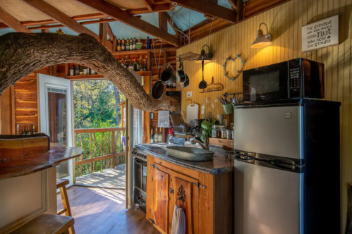 Cozy kitchen with wooden accents, a tree branch, and modern appliances, opening to a scenic outdoor view.