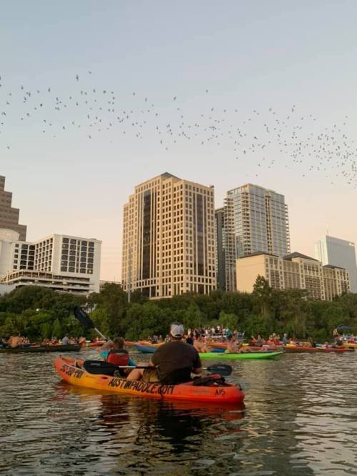 Two kayakers on a calm waterway with city buildings in the background and birds flying overhead at sunset.