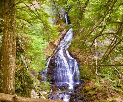 A serene waterfall cascading down rocky cliffs, surrounded by lush green trees and foliage.