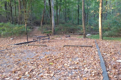 A picnic area in a forest, covered in fallen leaves, with a table and benches surrounded by trees.
