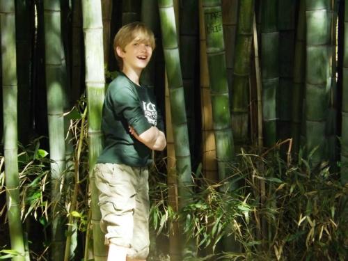 A smiling boy stands among tall bamboo stalks, wearing a green shirt and beige shorts, with arms crossed.