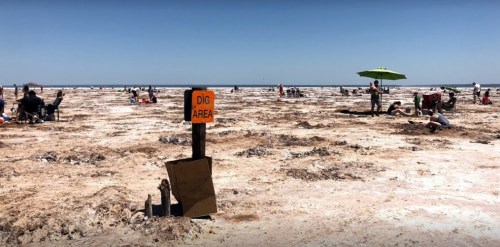 A beach scene with people relaxing and digging in the sand, featuring a "DIG AREA" sign in the foreground.