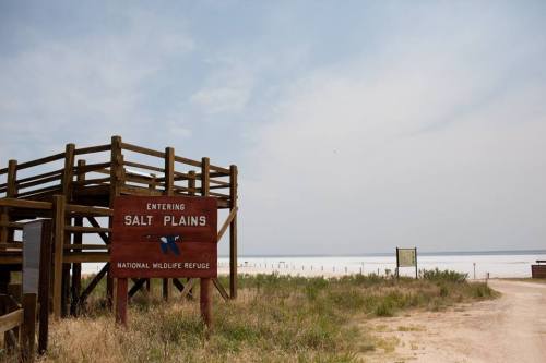 Sign for Salt Plains National Wildlife Refuge with viewing platform and expansive salt flats in the background.