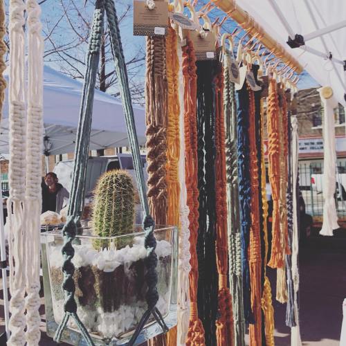 Colorful macramé plant hangers displayed at a market, featuring a cactus in a glass container.