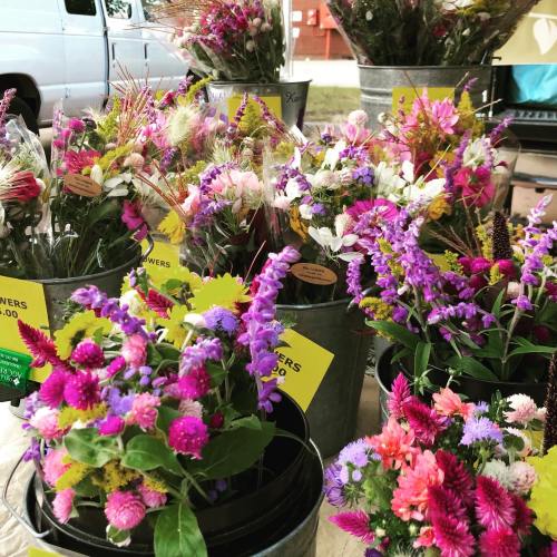 A vibrant display of assorted flowers in buckets, featuring various colors and types, at a market stall.