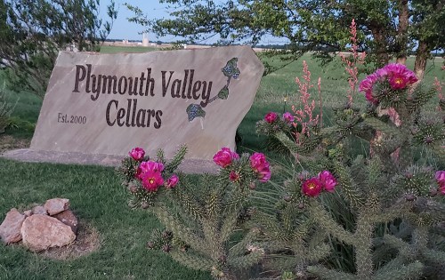Sign for Plymouth Valley Cellars with pink flowers and greenery in the foreground, set against a clear sky.