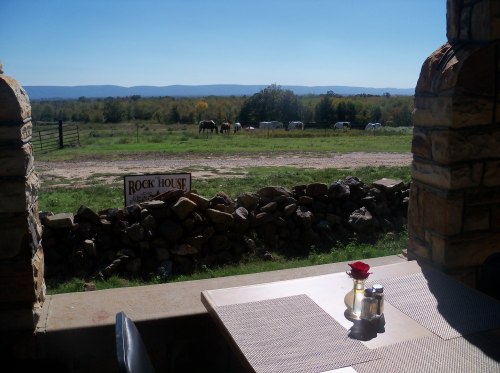 A scenic view from a stone-framed window, featuring a table with a rose and a field with cows in the distance.