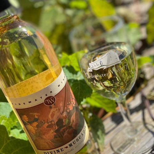 A bottle of Divine Muscadine wine next to a glass, surrounded by green grape leaves in bright sunlight.