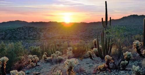 Sunset over a desert landscape with cacti and mountains, casting warm hues across the sky and terrain.