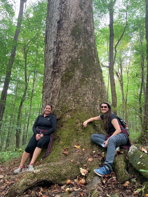 Two women sit beside a large tree in a lush green forest, enjoying nature and each other's company.