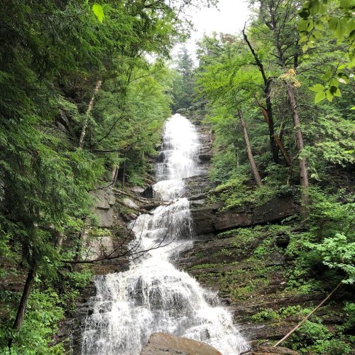 A cascading waterfall surrounded by lush green trees and rocky terrain in a serene forest setting.