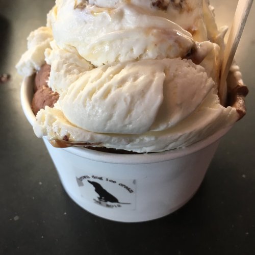 A cup of ice cream with scoops of vanilla and chocolate, topped with a drizzle of syrup.