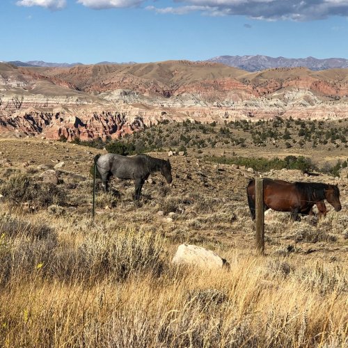 Two horses graze in a rugged landscape with colorful hills and mountains in the background under a partly cloudy sky.