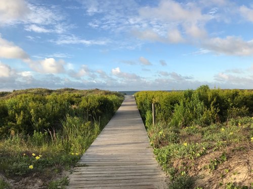 A wooden boardwalk leads through lush greenery to the ocean under a blue sky with scattered clouds.